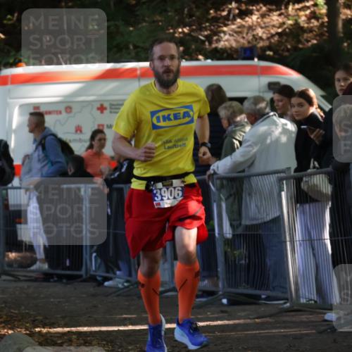 28.09.2025 - 33. Volkslauf durch das schöne Alstertal Strokosch-Dieckow http://msf.ph/oto/8965113 28.09.2025 11:17:58 Ziel 3906, 3921 meine-sportfotos.de