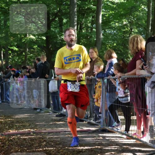 28.09.2025 - 33. Volkslauf durch das schöne Alstertal Strokosch-Dieckow http://msf.ph/oto/8965117 28.09.2025 11:18:02 Ziel 3906, 3921 meine-sportfotos.de
