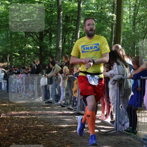 28.09.2025 - 33. Volkslauf durch das schöne Alstertal Strokosch-Dieckow http://msf.ph/oto/8965118 28.09.2025 11:18:02 Ziel 3906, 3921 meine-sportfotos.de