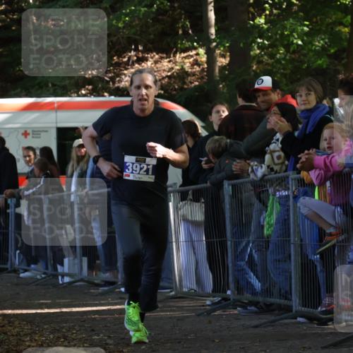 28.09.2025 - 33. Volkslauf durch das schöne Alstertal Strokosch-Dieckow http://msf.ph/oto/8965119 28.09.2025 11:18:04 Ziel 3921 meine-sportfotos.de