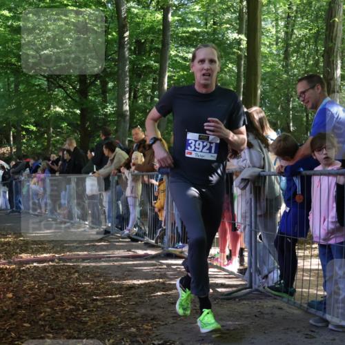 28.09.2025 - 33. Volkslauf durch das schöne Alstertal Strokosch-Dieckow http://msf.ph/oto/8965124 28.09.2025 11:18:07 Ziel 3921 meine-sportfotos.de