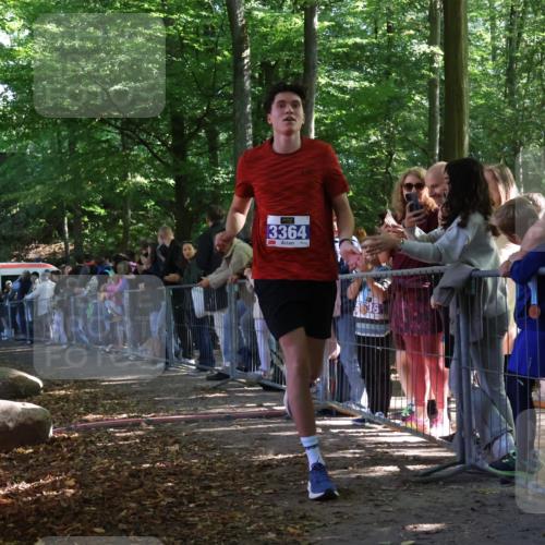 28.09.2025 - 33. Volkslauf durch das schöne Alstertal Strokosch-Dieckow http://msf.ph/oto/8965130 28.09.2025 11:18:18 Ziel 3364 meine-sportfotos.de