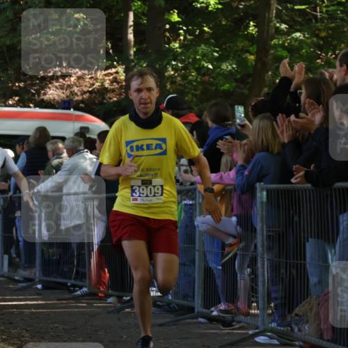28.09.2025 - 33. Volkslauf durch das schöne Alstertal Strokosch-Dieckow http://msf.ph/oto/8965131 28.09.2025 11:18:43 Ziel 1501, 3419, 3909 meine-sportfotos.de