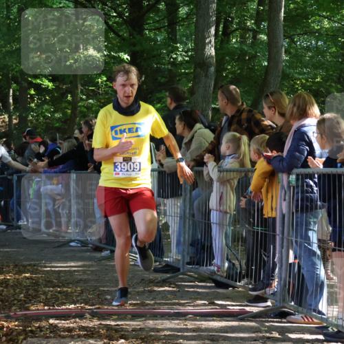 28.09.2025 - 33. Volkslauf durch das schöne Alstertal Strokosch-Dieckow http://msf.ph/oto/8965133 28.09.2025 11:18:44 Ziel 1501, 3419, 3909 meine-sportfotos.de
