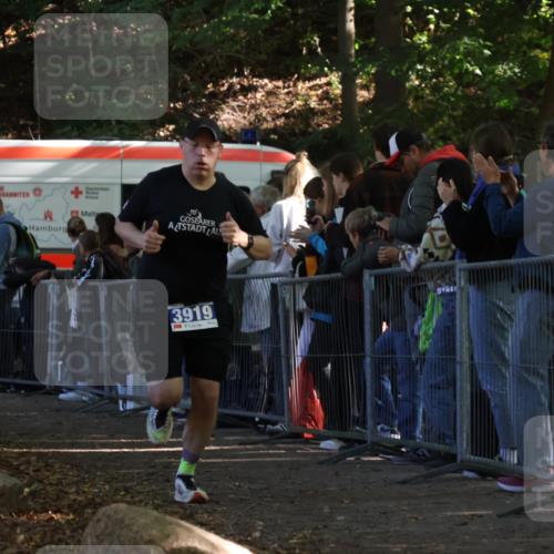 28.09.2025 - 33. Volkslauf durch das schöne Alstertal Strokosch-Dieckow http://msf.ph/oto/8965147 28.09.2025 11:18:58 Ziel 3919 meine-sportfotos.de