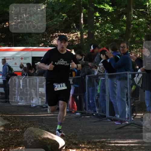 28.09.2025 - 33. Volkslauf durch das schöne Alstertal Strokosch-Dieckow http://msf.ph/oto/8965148 28.09.2025 11:18:59 Ziel 3919 meine-sportfotos.de