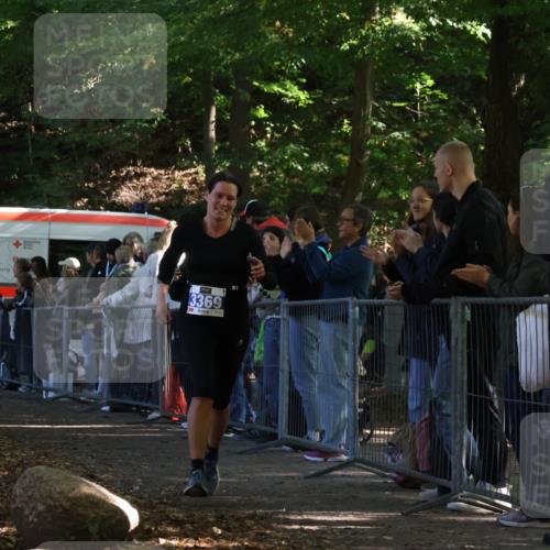 28.09.2025 - 33. Volkslauf durch das schöne Alstertal Strokosch-Dieckow http://msf.ph/oto/8965155 28.09.2025 11:19:07 Ziel 3369 meine-sportfotos.de