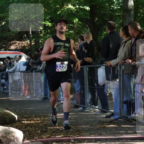 28.09.2025 - 33. Volkslauf durch das schöne Alstertal Strokosch-Dieckow http://msf.ph/oto/8965165 28.09.2025 11:19:18 Ziel 3078, 3225, 3417 meine-sportfotos.de