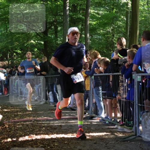 28.09.2025 - 33. Volkslauf durch das schöne Alstertal Strokosch-Dieckow http://msf.ph/oto/8965210 28.09.2025 11:19:58 Ziel 1503, 3134, 3307 meine-sportfotos.de