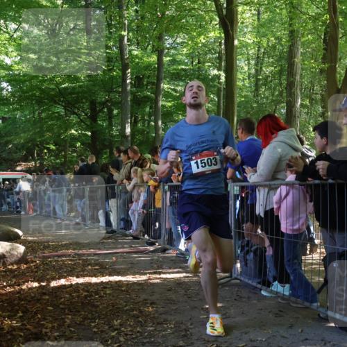 28.09.2025 - 33. Volkslauf durch das schöne Alstertal Strokosch-Dieckow http://msf.ph/oto/8965213 28.09.2025 11:19:59 Ziel 1503, 3134 meine-sportfotos.de
