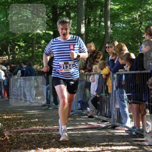 28.09.2025 - 33. Volkslauf durch das schöne Alstertal Strokosch-Dieckow http://msf.ph/oto/8965219 28.09.2025 11:20:05 Ziel 3134 meine-sportfotos.de