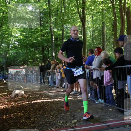 28.09.2025 - 33. Volkslauf durch das schöne Alstertal Strokosch-Dieckow http://msf.ph/oto/8965232 28.09.2025 11:20:21 Ziel 3957 meine-sportfotos.de