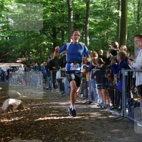 28.09.2025 - 33. Volkslauf durch das schöne Alstertal Strokosch-Dieckow http://msf.ph/oto/8965241 28.09.2025 11:20:51 Ziel 3372, 3393 meine-sportfotos.de