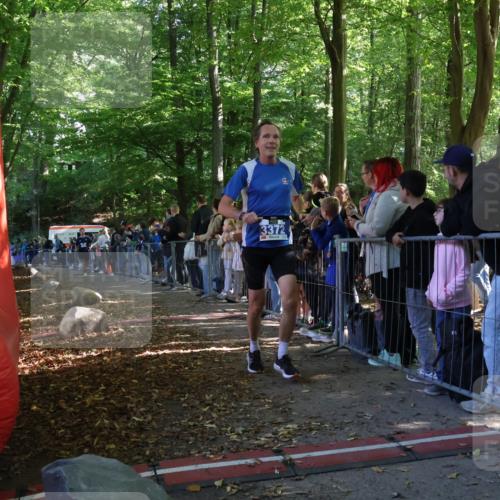 28.09.2025 - 33. Volkslauf durch das schöne Alstertal Strokosch-Dieckow http://msf.ph/oto/8965242 28.09.2025 11:20:52 Ziel 3372, 3393 meine-sportfotos.de