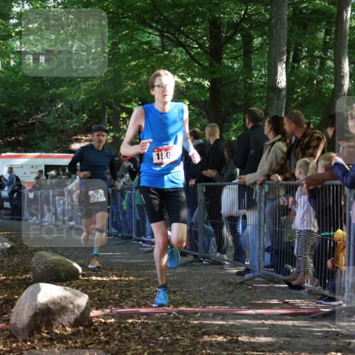 28.09.2025 - 33. Volkslauf durch das schöne Alstertal Strokosch-Dieckow http://msf.ph/oto/8965250 28.09.2025 11:21:19 Ziel 1504, 3178, 3943 meine-sportfotos.de