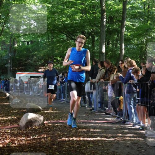 28.09.2025 - 33. Volkslauf durch das schöne Alstertal Strokosch-Dieckow http://msf.ph/oto/8965251 28.09.2025 11:21:19 Ziel 1504, 3178, 3943 meine-sportfotos.de