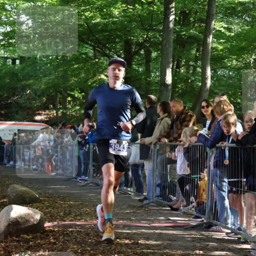 28.09.2025 - 33. Volkslauf durch das schöne Alstertal Strokosch-Dieckow http://msf.ph/oto/8965254 28.09.2025 11:21:20 Ziel 1504, 3178, 3943 meine-sportfotos.de