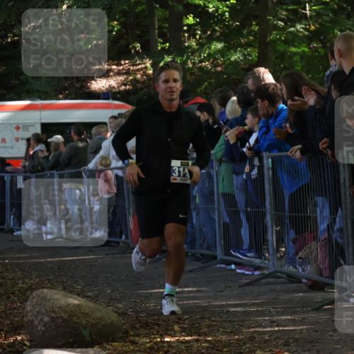 28.09.2025 - 33. Volkslauf durch das schöne Alstertal Strokosch-Dieckow http://msf.ph/oto/8965259 28.09.2025 11:21:26 Ziel 3046, 3178, 3396 meine-sportfotos.de