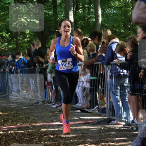 28.09.2025 - 33. Volkslauf durch das schöne Alstertal Strokosch-Dieckow http://msf.ph/oto/8965280 28.09.2025 11:21:42 Ziel 3283, 3387, 3916 meine-sportfotos.de