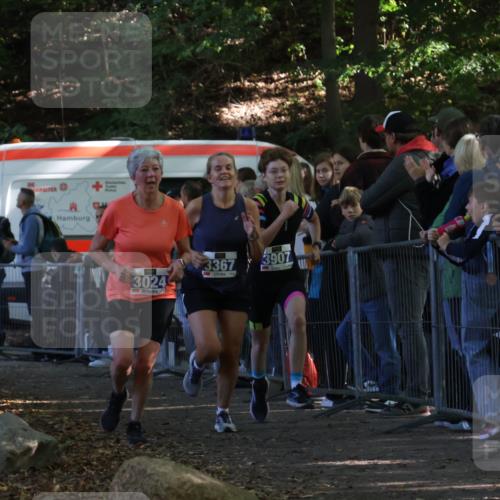 28.09.2025 - 33. Volkslauf durch das schöne Alstertal Strokosch-Dieckow http://msf.ph/oto/8965295 28.09.2025 11:21:59 Ziel 3024, 3367, 3907 meine-sportfotos.de