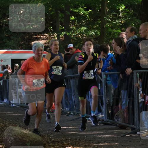 28.09.2025 - 33. Volkslauf durch das schöne Alstertal Strokosch-Dieckow http://msf.ph/oto/8965297 28.09.2025 11:22:00 Ziel 3024, 3367, 3907 meine-sportfotos.de