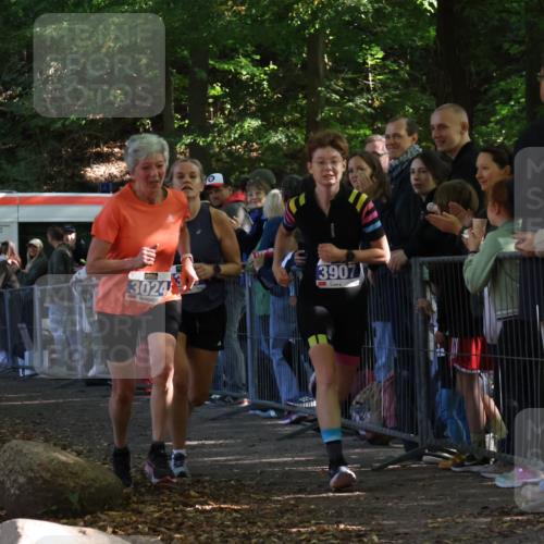 28.09.2025 - 33. Volkslauf durch das schöne Alstertal Strokosch-Dieckow http://msf.ph/oto/8965298 28.09.2025 11:22:01 Ziel 3024, 3367, 3907 meine-sportfotos.de
