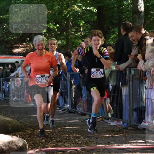 28.09.2025 - 33. Volkslauf durch das schöne Alstertal Strokosch-Dieckow http://msf.ph/oto/8965299 28.09.2025 11:22:01 Ziel 3024, 3367, 3907 meine-sportfotos.de