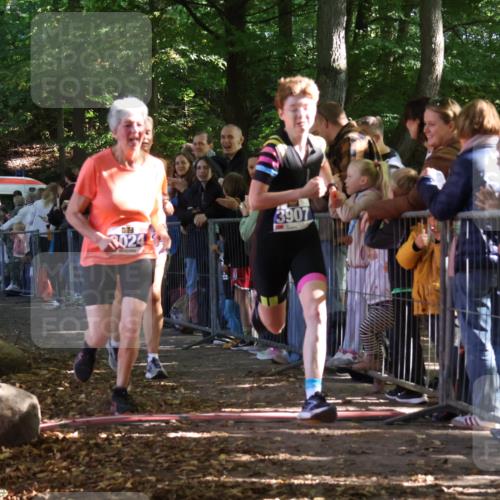28.09.2025 - 33. Volkslauf durch das schöne Alstertal Strokosch-Dieckow http://msf.ph/oto/8965300 28.09.2025 11:22:01 Ziel 3024, 3367, 3907 meine-sportfotos.de