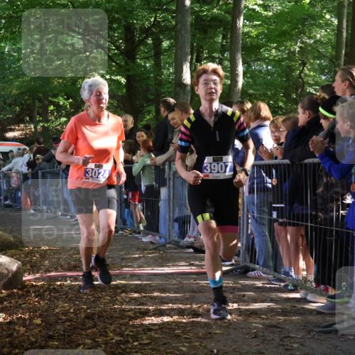 28.09.2025 - 33. Volkslauf durch das schöne Alstertal Strokosch-Dieckow http://msf.ph/oto/8965301 28.09.2025 11:22:02 Ziel 3024, 3367, 3907 meine-sportfotos.de