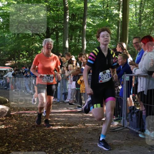 28.09.2025 - 33. Volkslauf durch das schöne Alstertal Strokosch-Dieckow http://msf.ph/oto/8965302 28.09.2025 11:22:02 Ziel 3024, 3367, 3907 meine-sportfotos.de