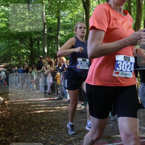 28.09.2025 - 33. Volkslauf durch das schöne Alstertal Strokosch-Dieckow http://msf.ph/oto/8965304 28.09.2025 11:22:03 Ziel 3024, 3367, 3907 meine-sportfotos.de