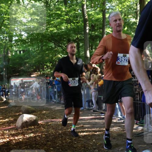 28.09.2025 - 33. Volkslauf durch das schöne Alstertal Strokosch-Dieckow http://msf.ph/oto/8965314 28.09.2025 11:22:19 Ziel 3030, 3292, 3295, 3335, 3927 meine-sportfotos.de