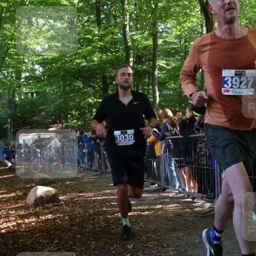 28.09.2025 - 33. Volkslauf durch das schöne Alstertal Strokosch-Dieckow http://msf.ph/oto/8965315 28.09.2025 11:22:20 Ziel 3030, 3295, 3335, 3927 meine-sportfotos.de