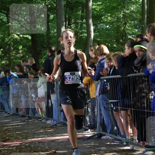 28.09.2025 - 33. Volkslauf durch das schöne Alstertal Strokosch-Dieckow http://msf.ph/oto/8965323 28.09.2025 11:22:27 Ziel 3014, 3169, 3295, 3316, 3331 meine-sportfotos.de