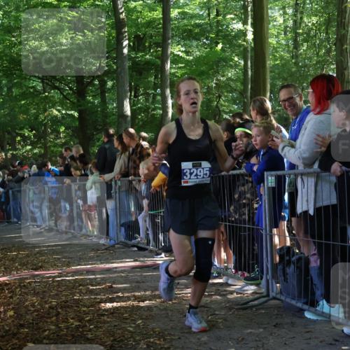28.09.2025 - 33. Volkslauf durch das schöne Alstertal Strokosch-Dieckow http://msf.ph/oto/8965324 28.09.2025 11:22:27 Ziel 3014, 3169, 3295, 3316, 3331 meine-sportfotos.de
