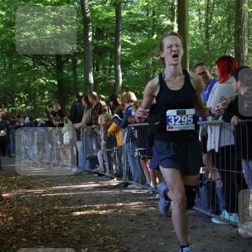 28.09.2025 - 33. Volkslauf durch das schöne Alstertal Strokosch-Dieckow http://msf.ph/oto/8965325 28.09.2025 11:22:27 Ziel 3014, 3169, 3295, 3316, 3331 meine-sportfotos.de