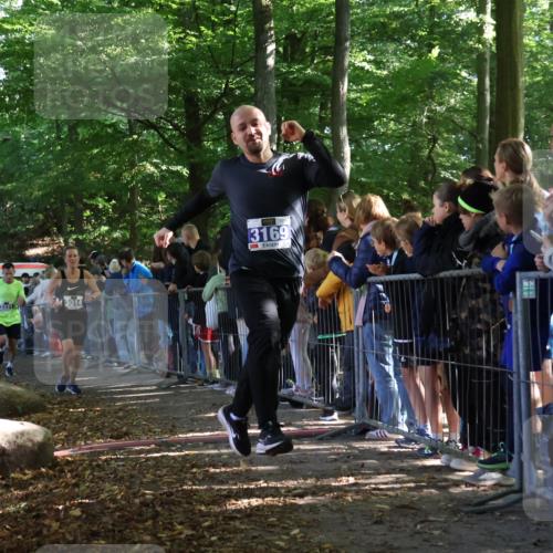 28.09.2025 - 33. Volkslauf durch das schöne Alstertal Strokosch-Dieckow http://msf.ph/oto/8965328 28.09.2025 11:22:29 Ziel 3014, 3136, 3169, 3190, 3223, 3316, 3331, 3381 meine-sportfotos.de