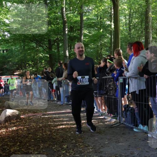 28.09.2025 - 33. Volkslauf durch das schöne Alstertal Strokosch-Dieckow http://msf.ph/oto/8965329 28.09.2025 11:22:30 Ziel 3014, 3019, 3136, 3169, 3190, 3223, 3316, 3331, 3381 meine-sportfotos.de