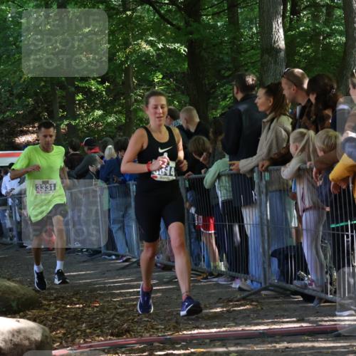 28.09.2025 - 33. Volkslauf durch das schöne Alstertal Strokosch-Dieckow http://msf.ph/oto/8965330 28.09.2025 11:22:30 Ziel 3014, 3019, 3136, 3169, 3190, 3223, 3316, 3331, 3381 meine-sportfotos.de