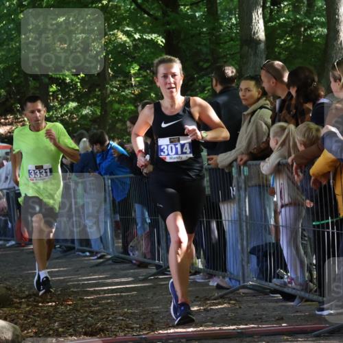 28.09.2025 - 33. Volkslauf durch das schöne Alstertal Strokosch-Dieckow http://msf.ph/oto/8965331 28.09.2025 11:22:31 Ziel 3014, 3019, 3136, 3169, 3190, 3223, 3316, 3331, 3381 meine-sportfotos.de