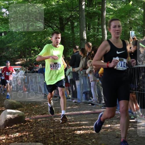 28.09.2025 - 33. Volkslauf durch das schöne Alstertal Strokosch-Dieckow http://msf.ph/oto/8965334 28.09.2025 11:22:32 Ziel 3014, 3019, 3136, 3190, 3223, 3316, 3331, 3381 meine-sportfotos.de