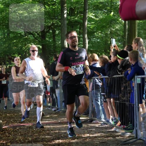 28.09.2025 - 33. Volkslauf durch das schöne Alstertal Strokosch-Dieckow http://msf.ph/oto/8965342 28.09.2025 11:22:37 Ziel 3019, 3136, 3190, 3223, 3381, 3411 meine-sportfotos.de