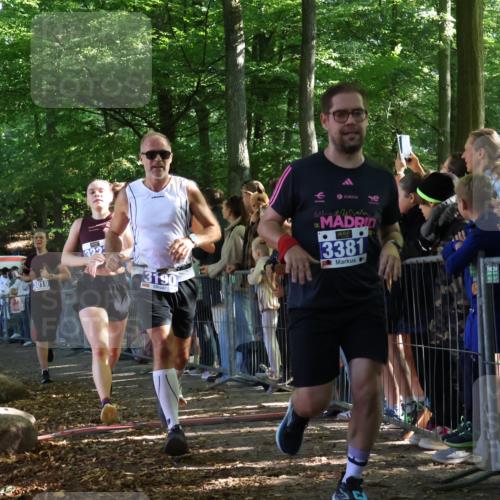 28.09.2025 - 33. Volkslauf durch das schöne Alstertal Strokosch-Dieckow http://msf.ph/oto/8965343 28.09.2025 11:22:37 Ziel 3019, 3136, 3190, 3223, 3381, 3411 meine-sportfotos.de