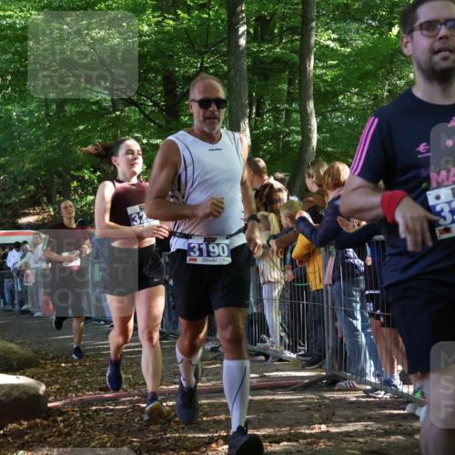 28.09.2025 - 33. Volkslauf durch das schöne Alstertal Strokosch-Dieckow http://msf.ph/oto/8965344 28.09.2025 11:22:37 Ziel 3019, 3136, 3190, 3223, 3381, 3411 meine-sportfotos.de