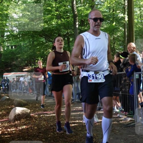 28.09.2025 - 33. Volkslauf durch das schöne Alstertal Strokosch-Dieckow http://msf.ph/oto/8965345 28.09.2025 11:22:38 Ziel 3019, 3136, 3190, 3223, 3381, 3411 meine-sportfotos.de