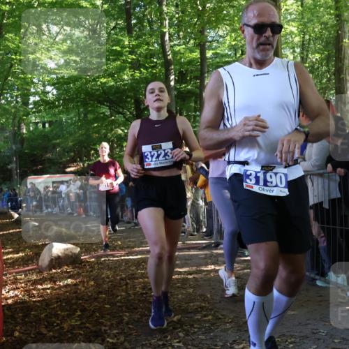 28.09.2025 - 33. Volkslauf durch das schöne Alstertal Strokosch-Dieckow http://msf.ph/oto/8965346 28.09.2025 11:22:38 Ziel 3019, 3136, 3190, 3223, 3381, 3411 meine-sportfotos.de