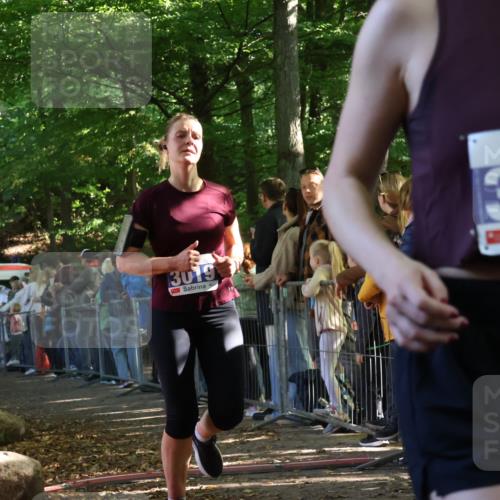 28.09.2025 - 33. Volkslauf durch das schöne Alstertal Strokosch-Dieckow http://msf.ph/oto/8965347 28.09.2025 11:22:39 Ziel 3019, 3136, 3223, 3411 meine-sportfotos.de