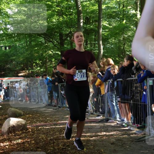28.09.2025 - 33. Volkslauf durch das schöne Alstertal Strokosch-Dieckow http://msf.ph/oto/8965348 28.09.2025 11:22:39 Ziel 3019, 3136, 3223, 3411 meine-sportfotos.de
