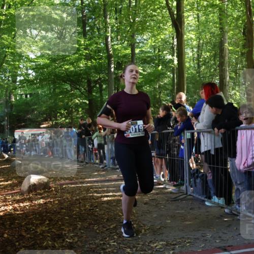 28.09.2025 - 33. Volkslauf durch das schöne Alstertal Strokosch-Dieckow http://msf.ph/oto/8965349 28.09.2025 11:22:40 Ziel 3019, 3411 meine-sportfotos.de