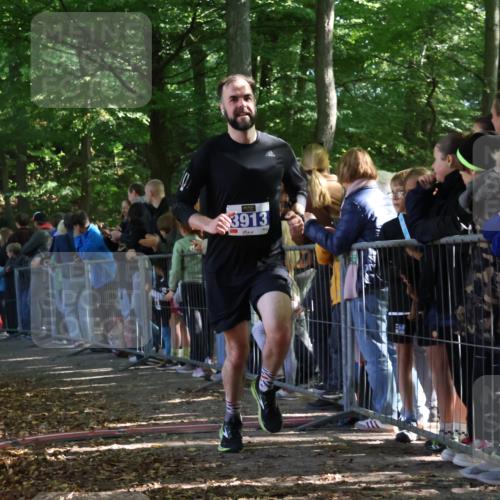 28.09.2025 - 33. Volkslauf durch das schöne Alstertal Strokosch-Dieckow http://msf.ph/oto/8965359 28.09.2025 11:22:51 Ziel 3042, 3913, 3941 meine-sportfotos.de